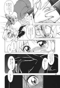 Page 28 of Memory Chips