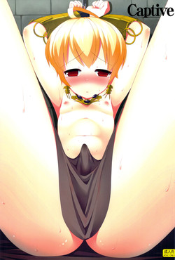 Download Ryoshuu | Captive