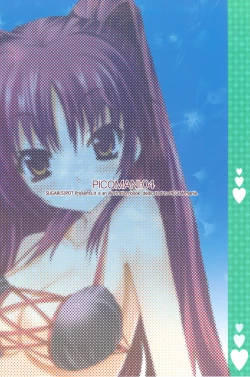 Page 32 of PICOMANI:04