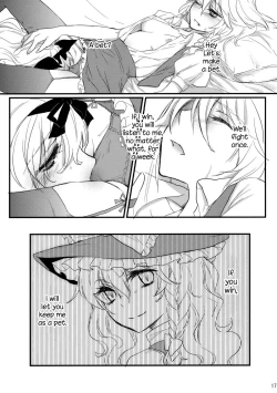 Page 17 of Kore Touhou de Yaru Hitsuyou Naku ne? | Is it really necessary to do this in Touhou