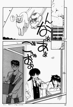 Page 41 of For New Ecstasy Life