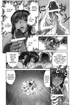 Page 11 of BASTARD!!Kanzenbsan 01 EXPANSION <Kakuchouban> Sheila Hime Oshaburi Chiryou