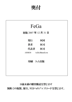 Page 33 of FeGa