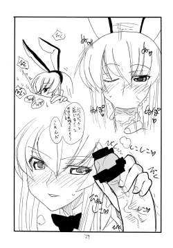 Page 28 of Copy bon Soushuuhen 3