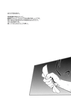 Page 4 of Kazami Yuuka Akushu Ken