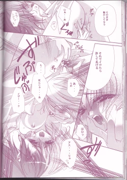 Page 42 of Tanemaki Gakuen Seitokai Shikkoubu