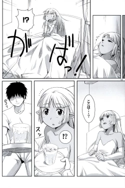 Page 11 of Seirei No Musubimi