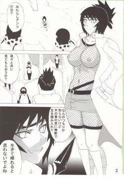 Page 4 of Mitarashi Anko Hon