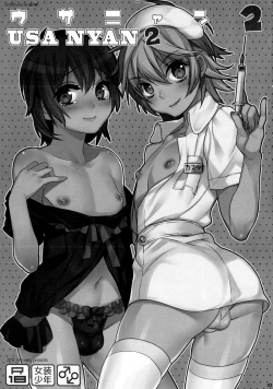 Page 3 of Usa Nyan 2