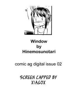 Page 17 of Window