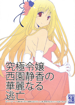 Download Kyuukyoku Reijou Nishizono Shizuka no Karei Naru Toubou