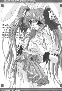 Page 4 of Twin Tail Mix