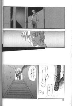 Page 45 of Hiiro no Koku Gekan