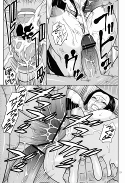 Page 22 of ROBIN SP 2