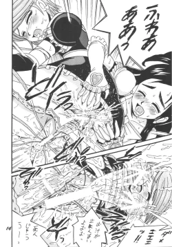 Page 14 of PRECURE STICK