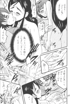 Page 17 of PRECURE STICK