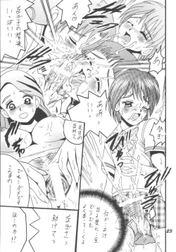 Page 23 of PRECURE STICK