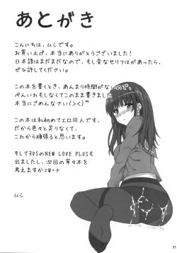 Page 30 of NE2+ remake