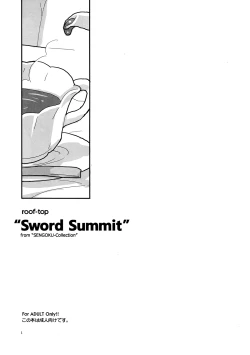 Page 2 of Sword Summit