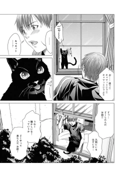 Page 216 of Canopri Comic 2011-07 Vol.9