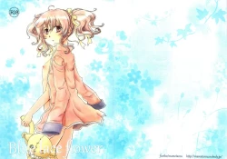 Page 1 of Blue lace flower