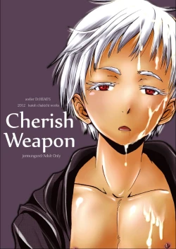 Page 21 of Cherish Weapon