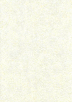 Page 19 of Ali Pro Sono 1 | Alice Pro The First