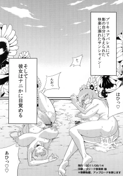 Page 3 of Hentai Sunshine 2