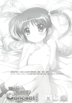 Page 3 of TIMTIM MACHINE Nanoha Concept! + Paper