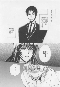 Page 47 of Fujuun Mosaic