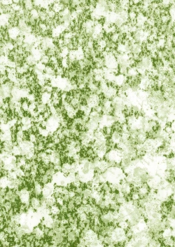 Page 178 of WETM Oppai ga ookisugiru onnanoko tachi no ohanashi