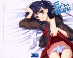 Page 1 of From a Distance