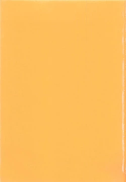 Page 4 of Milky Stream Liner