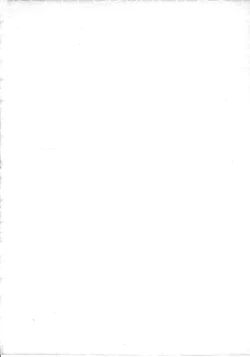 Page 3 of ] Iperitto Rayearth VX