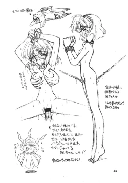 Page 45 of ] Iperitto Rayearth VX