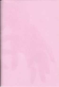 Page 34 of Il cielo sulla terra!