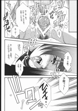 Page 17 of Seiryuu Ranbu 2