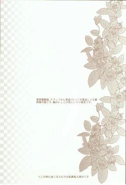 Page 5 of Kikaijikake no Kamigami