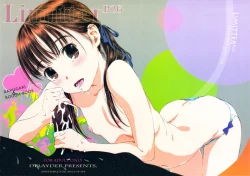 Page 1 of Limitter P26