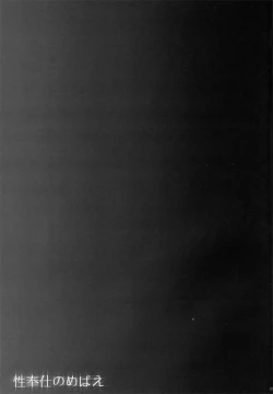 Page 17 of Seihoushi no Mebae