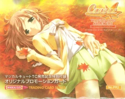 Page 137 of Canvas Sepia iro no Motif Visual Fanbook