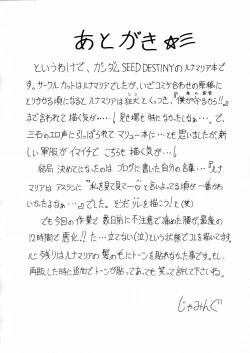 Page 14 of LUNA STLIKE Prototype