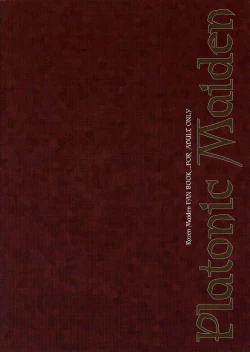 Page 18 of Platonic Maiden