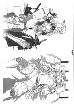 Page 3 of Mithman Report 2008