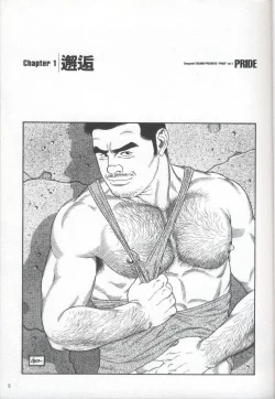 Page 10 of Pride VOL.1