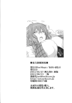 Page 17 of Touhou Shinkon Shoya