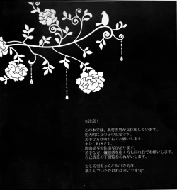 Page 4 of Träumereienglish