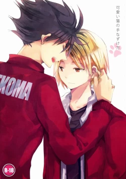 Page 1 of Kawaii Neko no Tenazukekata