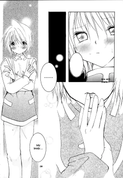 Page 22 of Pink Snow memoriaenglish