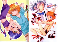 Page 4 of Akana Meiko - Nekokan